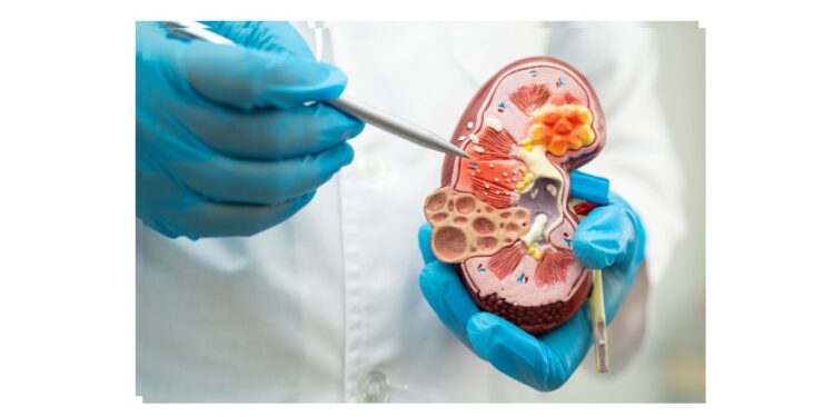 Fibrosis Pulmonar Idiopática y Esclerosis Sistémica: enfermedades raras y asfixiantes