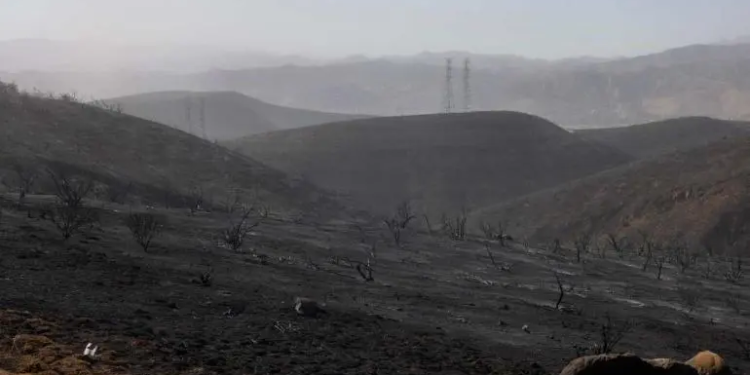 Incendios de Los Ángeles, contenidos por completo después de tres semanas