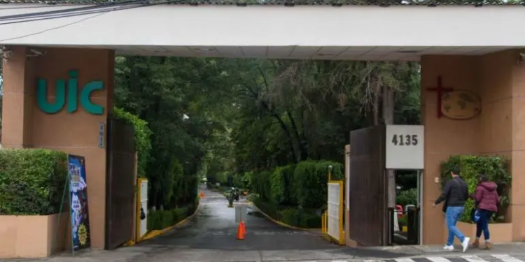 Alcaldía Tlalpan autoriza derribo de árboles en la Universidad Intercontinental