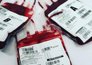 Edomex adjudica contrato millonario a empresa ligada al Cártel de la Sangre