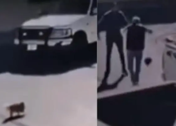 Hombre golpea a abuelito por atropellar a su perro en Piedras Negras