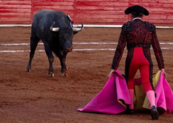 Corridas de toros sin sangre en CDMX: Congreso aprobó iniciativa y Brugada lo celebra