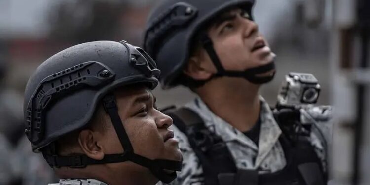 Operación Frontera Norte supera 29 toneladas de drogas aseguradas