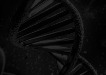 Protege tu ADN: Las 3 moléculas clave para reparar daños y frenar el envejecimiento prematuro