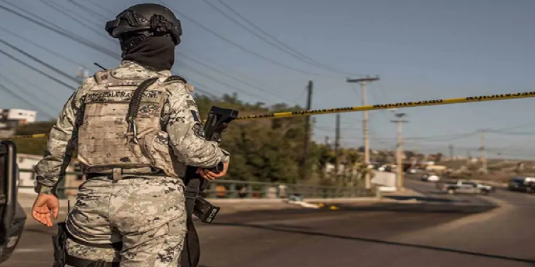 Operación Frontera Norte ha asegurado más de 26 toneladas de droga en 3 meses