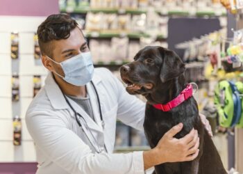 Día Mundial de la Vacunación Animal  Más del 33% de los responsables de animales de compañía en México nunca llevan a sus mascotas al Médico Veterinario