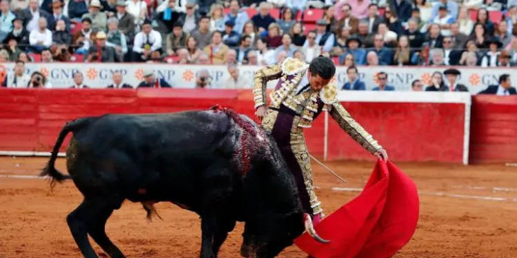 Toreros buscan amparo contra prohibición de ‘corridas con sangre’ en CDMX