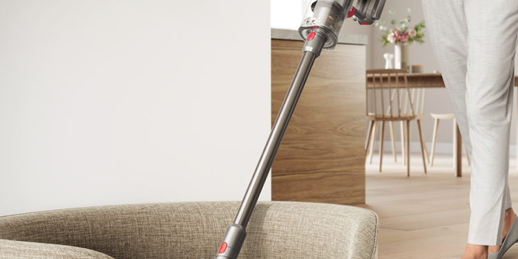 Temporada de muda: cómo mantener tu casa libre de pelo sin morir en el intento