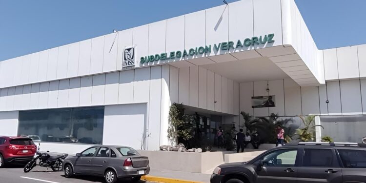 Licitación en IMSS Veracruz Norte eleva gasto en compra de tóner
