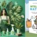 ¿Tu cuerpo y tu casa huele a limpio… o a tóxicos? Detrás de un aroma a “limpio” se esconden tóxicos que afectan la salud ¡Conócelos y actúa!