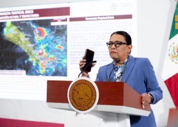 Segob: Infonavit no hará desalojos sin denuncia por despojo