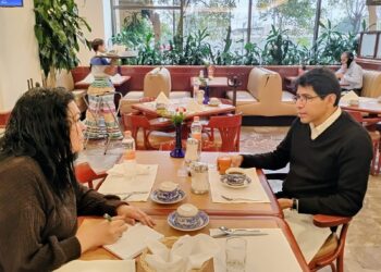 Entretelones de la multidisciplinariedad