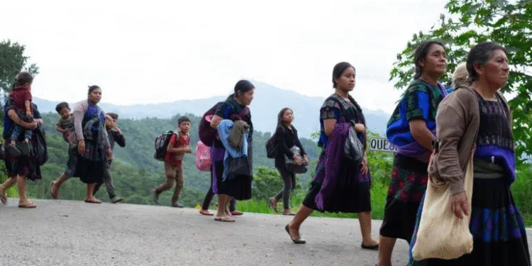 Repunta en el país a tasa anual 129% el desplazamiento forzado