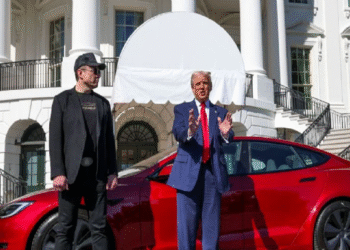 «Trump reconoce y agradece las disculpas de Musk», dice la vocera de la Casa Blanca