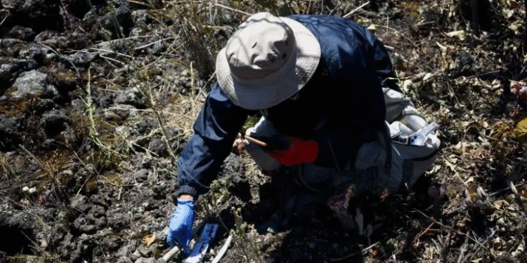 Califica SRE de ‘inaceptable’ el señalamiento de la ONU sobre desapariciones sistemáticas