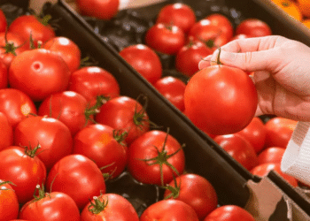 “Mientras se negocia arancel del 17% al jitomate, hay que pagarlo”: Ebrard