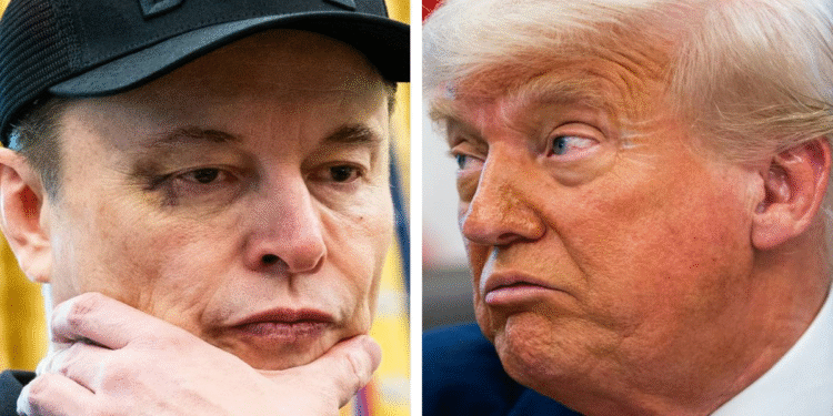 Trump amenaza con deportar a Elon Musk: “Hay que revisar sus papeles”
