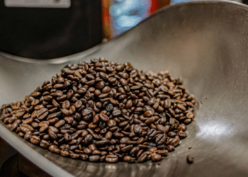 Trump anuncia aranceles del 50% y 25% para Brasil e India, y un acuerdo con Corea del Sur