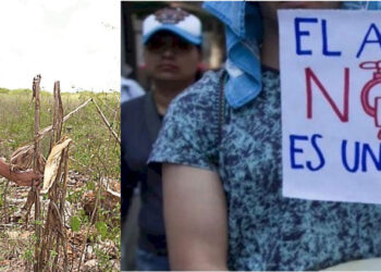 Millfoods distante de su discurso como sustentable en Salamanca agrava una crisis hídrica silenciosa