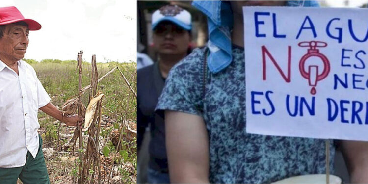 Millfoods distante de su discurso como sustentable en Salamanca agrava una crisis hídrica silenciosa