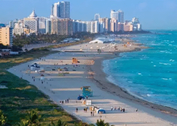 Alerta en EU por bacteria marina carnívora, cobra 4 vidas en playas de Florida