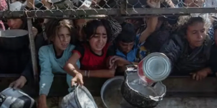 Franja de Gaza registra 11 muertes por hambre y desnutrición en medio del conflicto con Israel