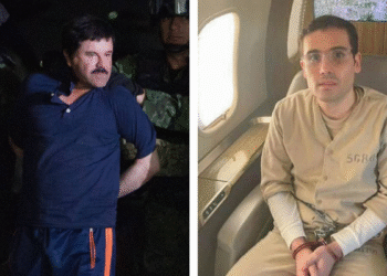 La salud mental de los Guzmán: lo que han revelado los juicios del “Chapo” y Ovidio