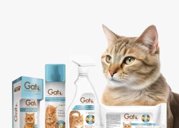 ¡Día Internacional del Gato! Celébralo creando una rutina de cuidado e higiene para tu michi