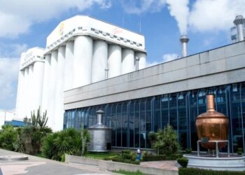 Millfoods: inversión extranjera con deuda local