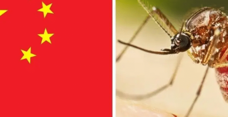 Otro virus se propaga por China: más de 7000 contagios