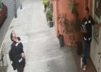 Piden extremar precauciones ante falsos fumigadores en la colonia Cuauhtémoc