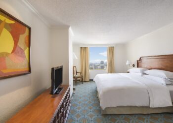 Borrador automático