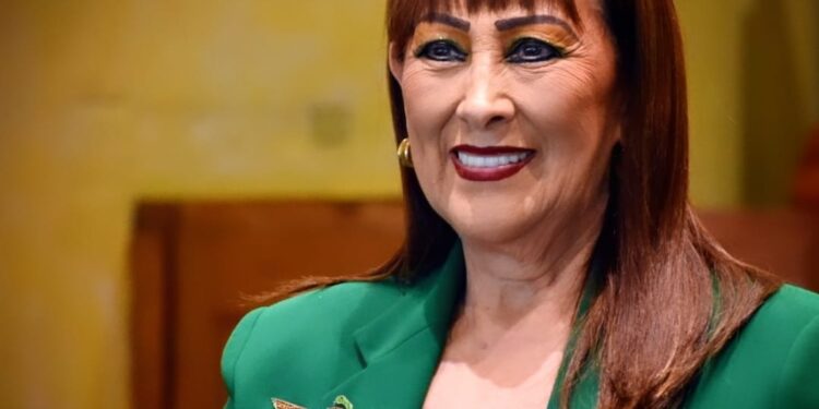 Experiencia judicial respalda candidatura de Celia Marín Sasaki