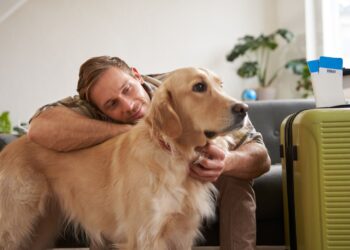 El Presidente InterContinental Puebla se sitúa como una opción pet friendly para los viajeros con mascota