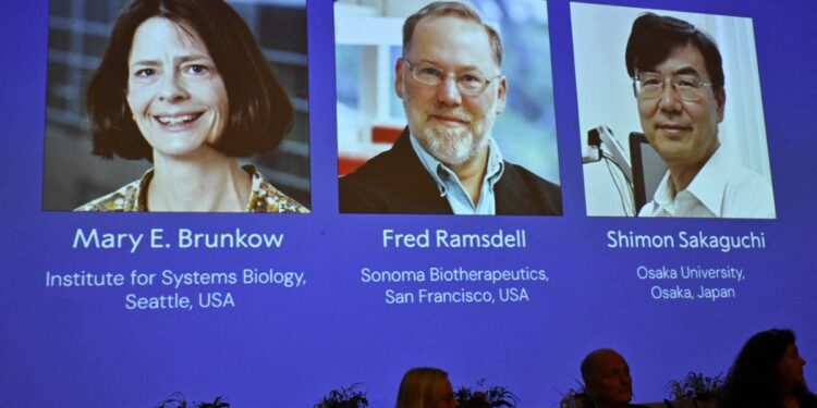 Brunkow, Ramsdell y Sakaguchi ganan Nobel de Medicina 2025 por descubrimientos sobre sistema inmunitario