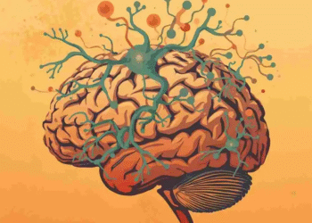 Trastornos de ansiedad se vinculan a bajos niveles de nutrientes en el cerebro, estudio