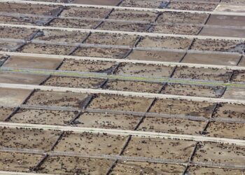 Estudio internacional revela el impacto de la ganadería industrial en las metas climáticas