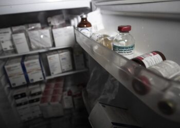 Carne de cerdo proveniente del Reino Unido llega a las mesas mexicanas contaminada de superbacterias, muy dañinas para la salud humana