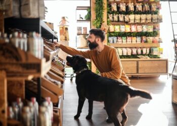 Sustainable Pet Food Foundation: dos encuestas muestran un aumento hacia dietas sostenibles para mascotas