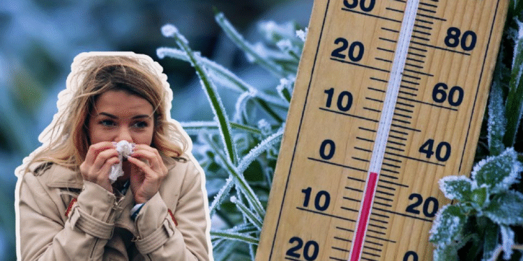 SMN alerta por heladas y bajas temperaturas ante frente frío 12