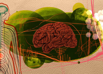 El parkinson podría iniciar en el intestino, no en el cerebro
