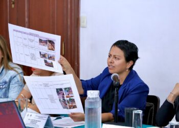 Diputada Liz Salgado exhibe cifras dudosas en informe de Casarín