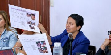 Diputada Liz Salgado exhibe cifras dudosas en informe de Casarín