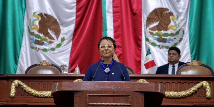 Liz Salgado impulsa reforma para garantizar mantenimiento permanente de cámaras