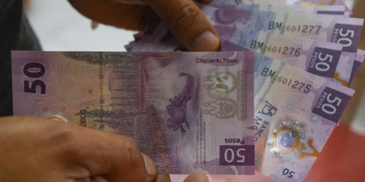 Actualiza Inegi el valor de la UMA para 2026: ¿en cuánto quedaron las multas y trámites?