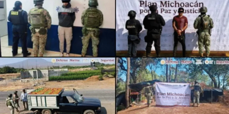 Plan Michoacán: detienen a 12 personas e inhabilitan toma clandestina
