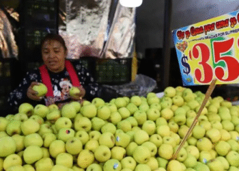 México abre una investigación por posible práctica desleal en importación de manzana de EU