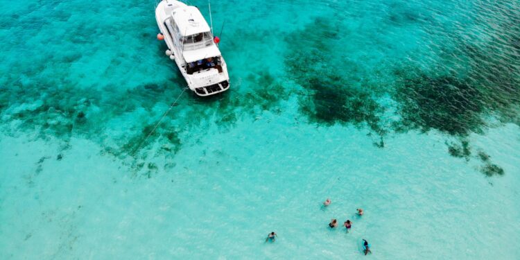 El buceo en Cozumel atrae a viajeros del mundo con experiencias para todos los niveles con Grupo Presidente