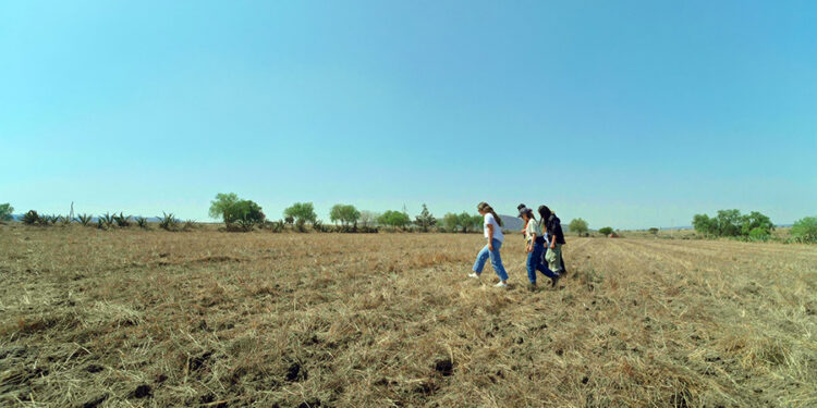 El agua en 2026: por qué la gestión del agua debe partir de la cuenca, el territorio y los datos 