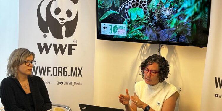 Urge WWF México a multiplicar esfuerzos para frenar la triple crisis ambiental